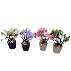 ИКЕБАНА ЦВЕТЕН БОНСАЙ 12/17 см