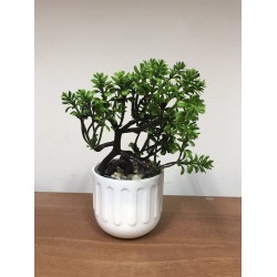 Икебана цветен бонсай 12/17 см 