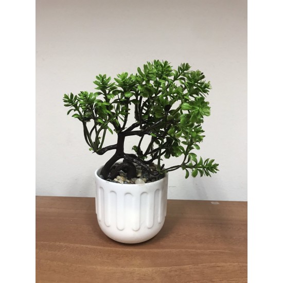 Икебана цветен бонсай 12/17 см 