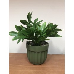 Икебана в саксия 15/18 см 