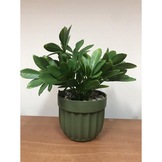 Икебана в саксия 15/18 см 