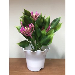 Икебана цвете в саксия 26/15см 