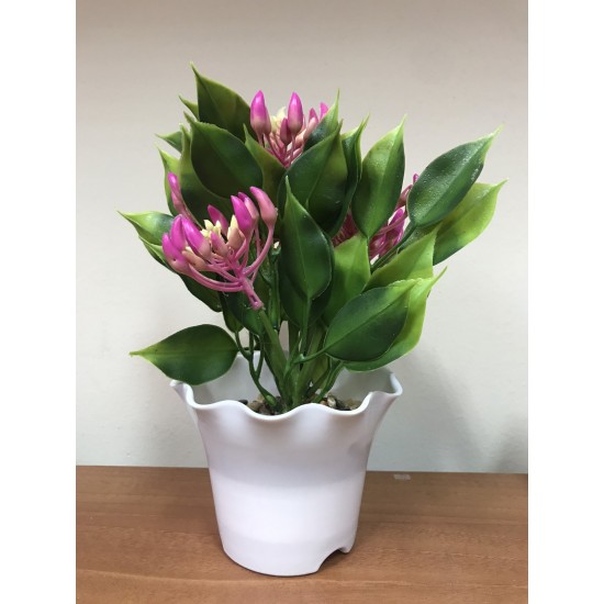 Икебана цвете в саксия 26/15см 