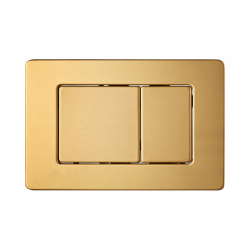 BG 097L BRUSH GOLD + PNEUMATIC BUTTON FRAME AND PNEUMATIC CYLINDER