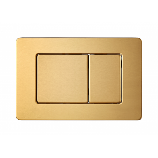 BG 097L BRUSH GOLD + PNEUMATIC BUTTON FRAME AND PNEUMATIC CYLINDER