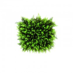 Растения Natural Touch >> ICNT 11487