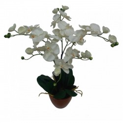 Растения Natural Touch >> ICNT 12126