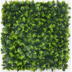 Растения GREEN WALL >> ICNT 125050