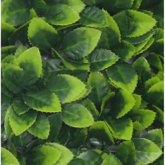 Растения GREEN WALL >> ICNT 125050