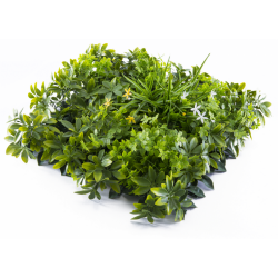Растения GREEN WALL >> ICNT 135050
