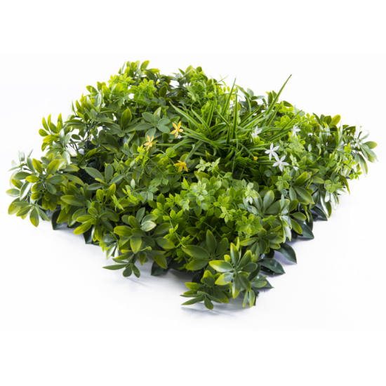 Растения GREEN WALL >> ICNT 135050