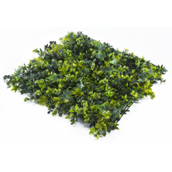 Растения GREEN WALL >> ICNT 145050