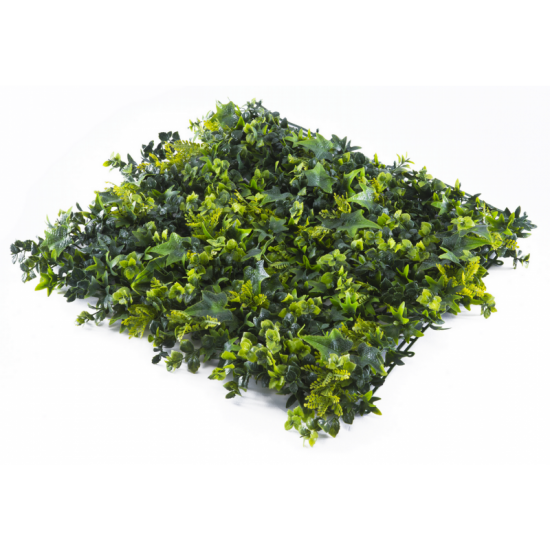 Растения GREEN WALL >> ICNT 145050