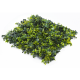 Растения GREEN WALL >> ICNT 145050