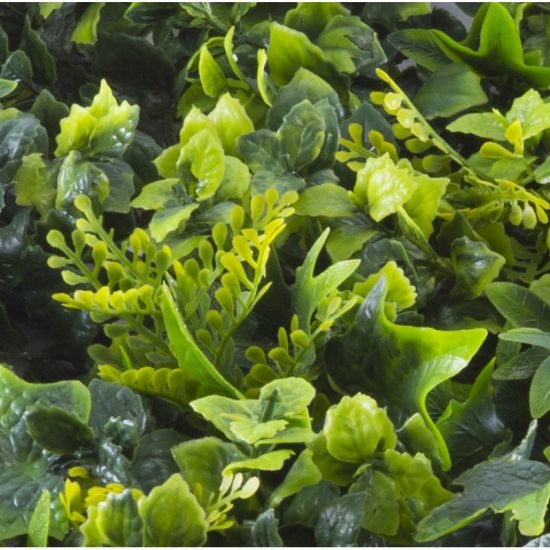 Растения GREEN WALL >> ICNT 145050