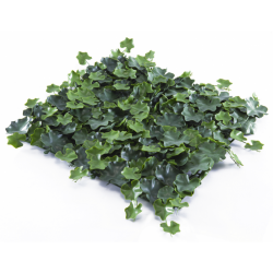 Растения GREEN WALL >> ICNT 155050