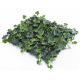 Растения GREEN WALL >> ICNT 155050