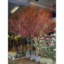 Растения Natural Touch >> ICNT 16439