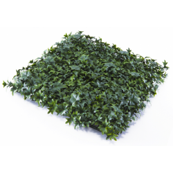 Растения GREEN WALL >> ICNT 165050