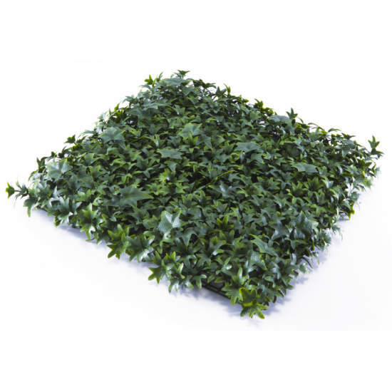 Растения GREEN WALL >> ICNT 165050