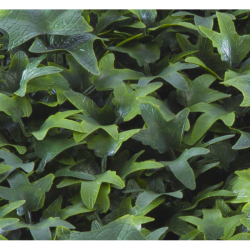 Растения GREEN WALL >> ICNT 165050