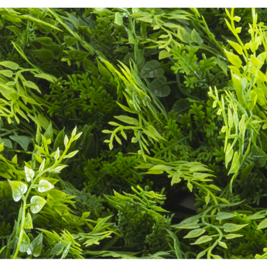 Растения GREEN WALL >> ICNT 175050