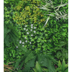 Растения GREEN WALL >> ICNT 18100100