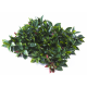 Растения GREEN WALL >> ICNT 185050