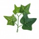 Растения ART DECORATION >> ICNT 187032