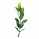 Растения ART DECORATION >> ICNT 187041