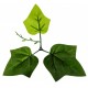 Растения ART DECORATION >> ICNT 187056