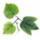 Растения ART DECORATION >> ICNT 187057