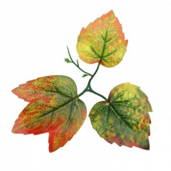 Растения ART DECORATION >> ICNT 187058
