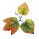 Растения ART DECORATION >> ICNT 187058