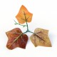 Растения ART DECORATION >> ICNT 187059