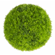 Растения GREEN NATURE>> ICNT 190038