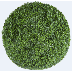Растения GREEN NATURE>> ICNT 190039