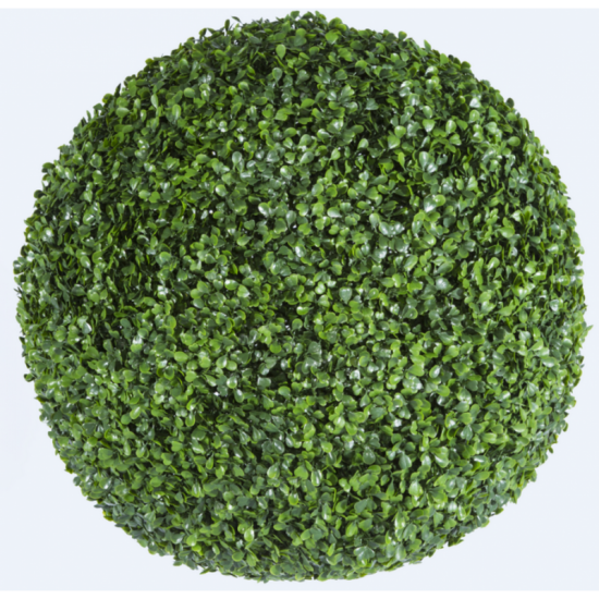 Растения GREEN NATURE>> ICNT 190039