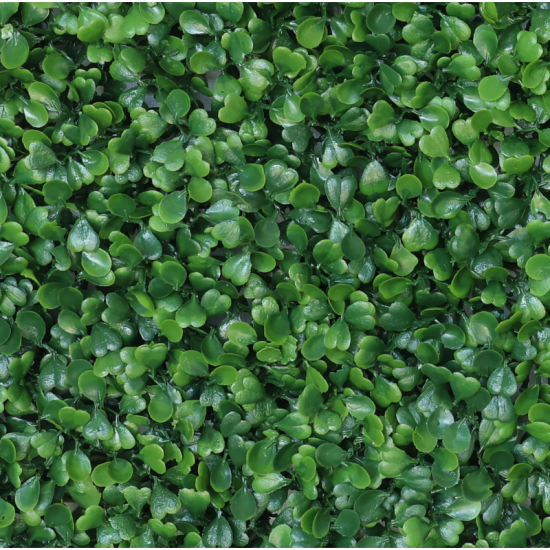 Растения GREEN NATURE>> ICNT 190039