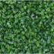 Растения GREEN NATURE>> ICNT 190039