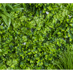 Растения GREEN WALL >> ICNT 19100100
