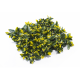 Растения GREEN WALL >> ICNT 195050