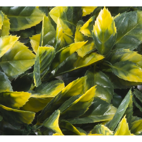 Растения GREEN WALL >> ICNT 195050