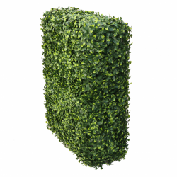 Растения GREEN WALL >> ICNT 197525