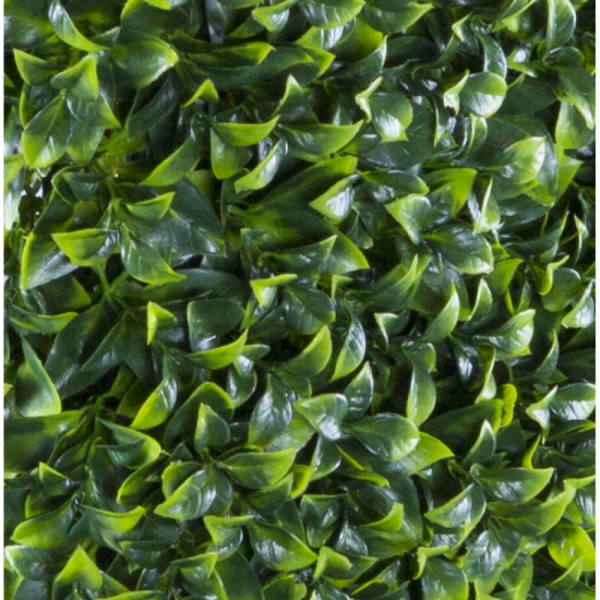Растения GREEN WALL >> ICNT 197525