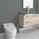 Аксесоар  за баня  » ЕЙДЪН ICCA 58159G