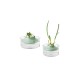 Комплект за съхранение на свежи билки Brabantia Tasty+ Jade Green
