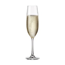Чаша за шампанско Bohemia Royal Sarah 260ml, 6 броя
